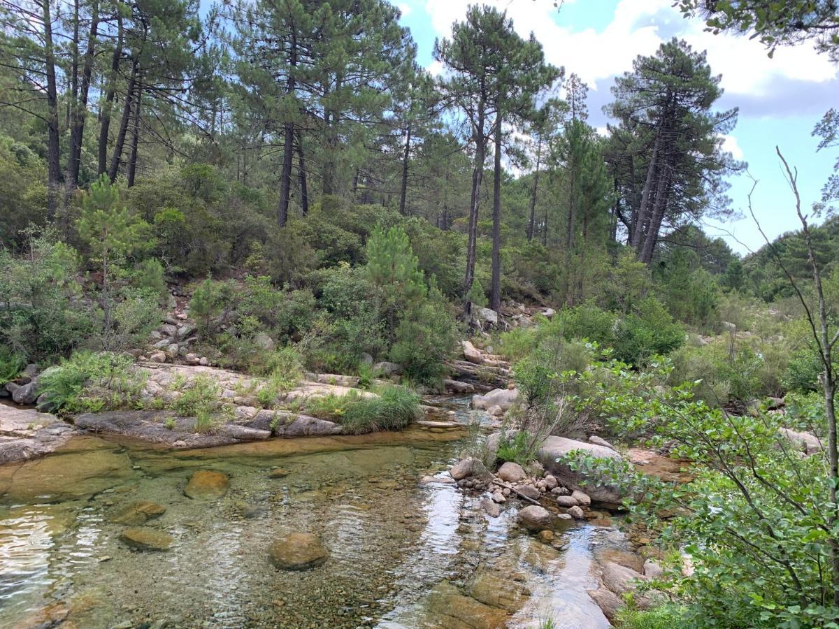 Villa Chez Géraldine Piscine chauffée, proche plage et rivière Lecci Esterno foto