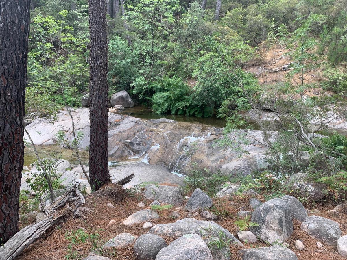 Villa Chez Géraldine Piscine chauffée, proche plage et rivière Lecci Esterno foto