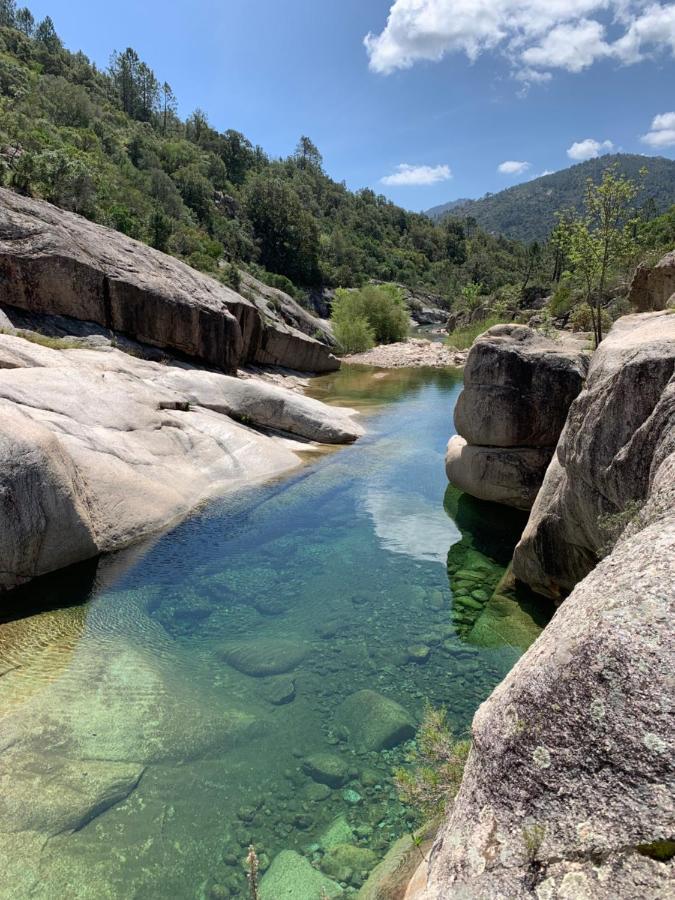 Villa Chez Géraldine Piscine chauffée, proche plage et rivière Lecci Esterno foto