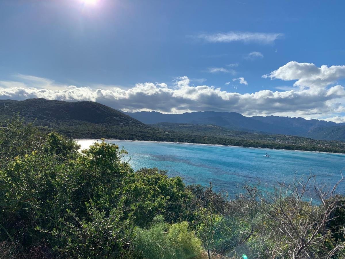 Villa Chez Géraldine Piscine chauffée, proche plage et rivière Lecci Esterno foto